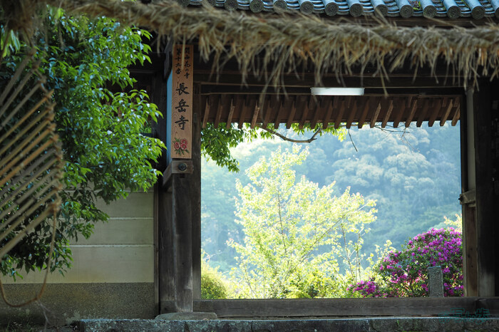 OM3A0456,60 mm,F2.8,1-250 秒,iso200(JPEG).jpg