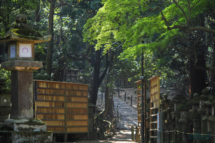 OM3A0557,60 mm,F2.8,1-200 秒,iso200(JPEG).jpg