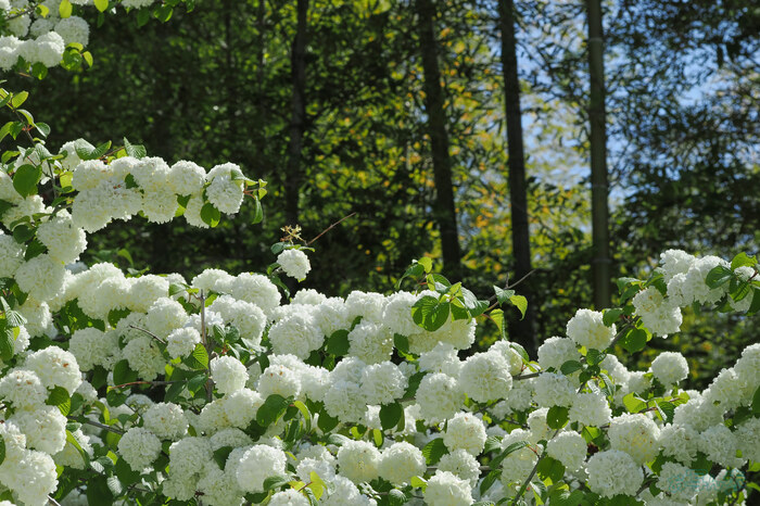 OM3A0811,60 mm,F8,1-500 秒,iso200(JPEG).jpg