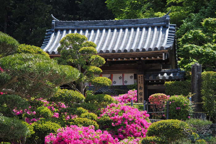 OM3A0823,60 mm,F2.8,1-2000 秒,iso200(JPEG).jpg
