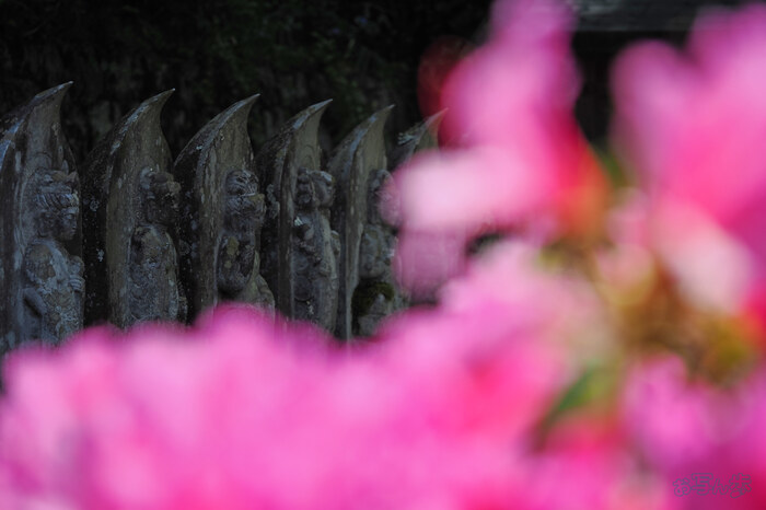 OM3A0960,60 mm,F2.8,1-2000 秒,iso200(JPEG).jpg