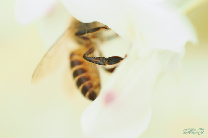 OM3A1209,60 mm,F2.8,1-400 秒,iso400(JPEG).jpg