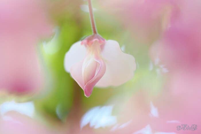 OM3A1357,60 mm,F2.8,1-100 秒,iso200(JPEG).jpg