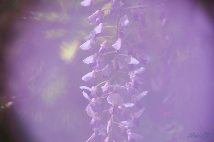 OM3A1417,60 mm,F2.8,1-500 秒,iso200(JPEG).jpg