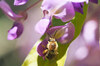 OM3A1443,60 mm,F2.8,1-500 秒,iso200(JPEG) 1.jpg