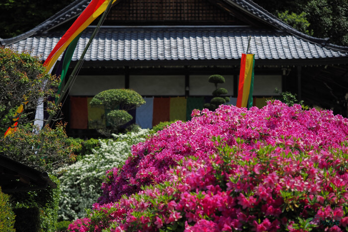 OM3A1464,60 mm,F2.8,1-5000 秒,iso200(JPEG).jpg