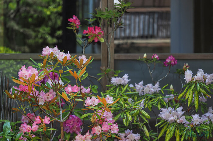 OM3A1592,60 mm,F2.8,1-400 秒,iso200(JPEG).jpg
