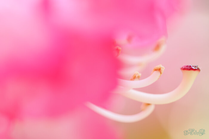 OM3A1618,60 mm,F2.8,1-80 秒,iso200(JPEG).jpg
