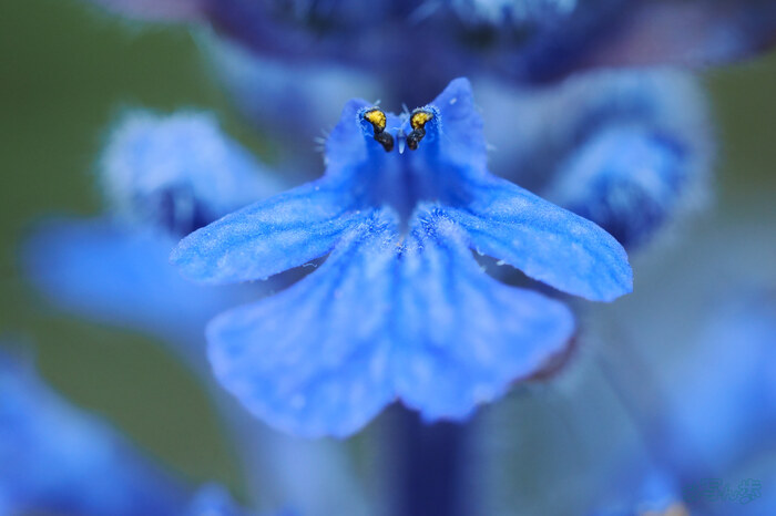 OM3A1625,60 mm,F5.6,1-50 秒,iso1600(JPEG).jpg