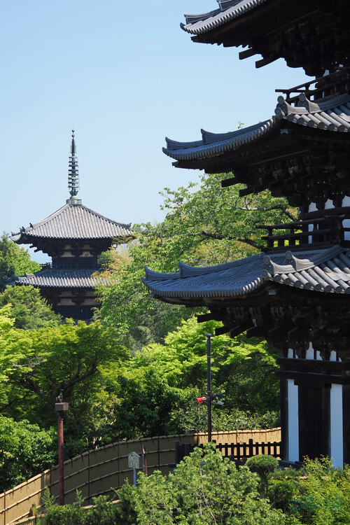 OM3A1639,60 mm,F2.8,1-2000 秒,iso200(JPEG).jpg