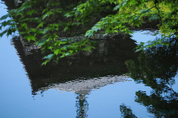 OM3A1675,60 mm,F2.8,1-320 秒,iso200(JPEG).jpg