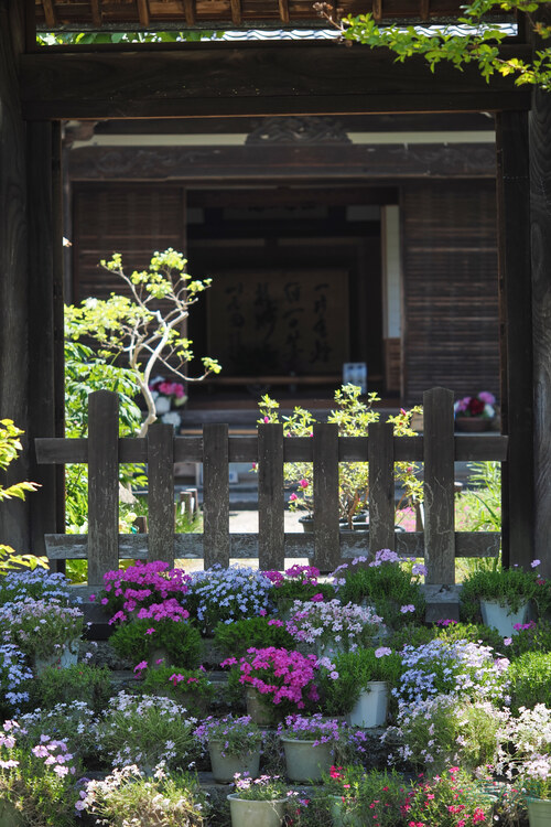 OM3A1760,60 mm,F2.8,1-800 秒,iso200(JPEG).jpg