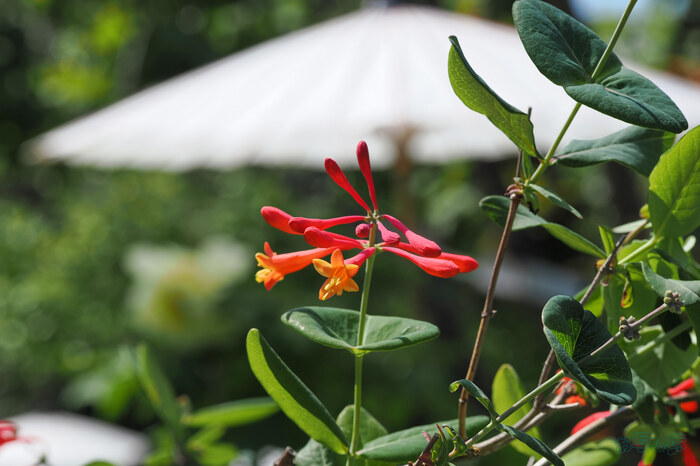 OM3A1772,60 mm,F6.3,1-640 秒,iso200(JPEG).jpg