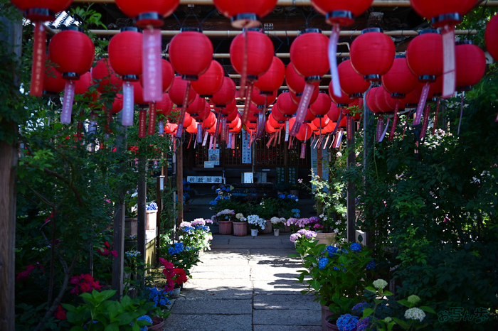 DSC_4706,24 mm,F1.7,1-1000 秒,iso100(JPEG).jpg