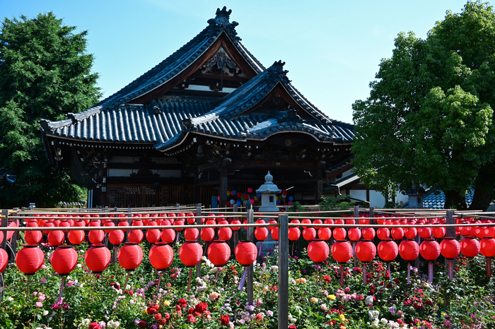 DSC_4724,24 mm,F9,1-125 秒,iso100(JPEG).jpg
