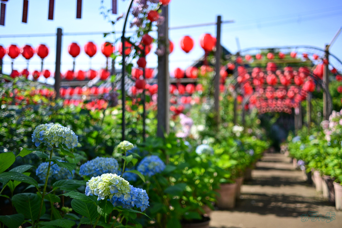 DSC_4733,24 mm,F1.7,1-2000 秒,iso100(JPEG).jpg
