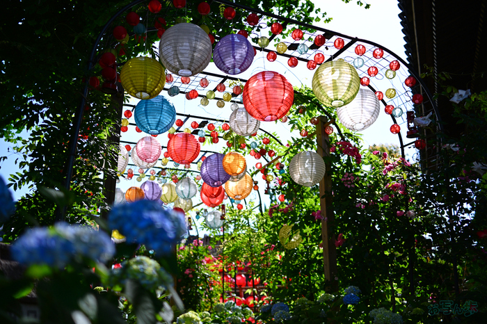 DSC_4793,24 mm,F1.7,1-3200 秒,iso100(JPEG).jpg