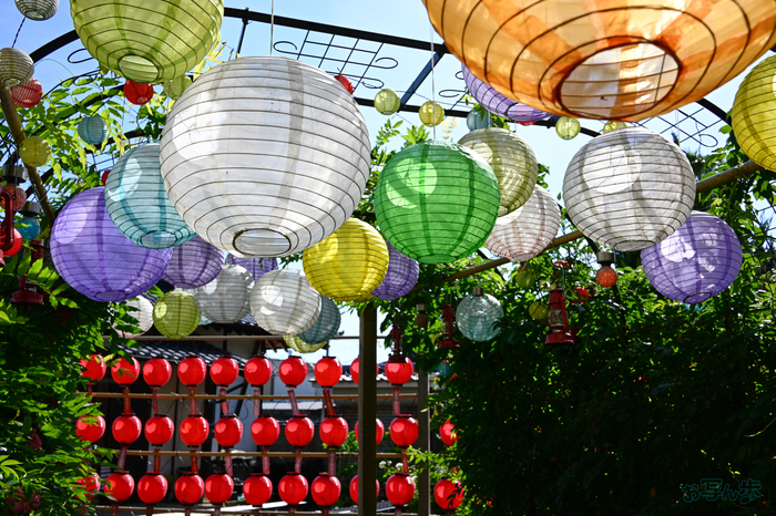 DSC_4824,24 mm,F8,1-320 秒,iso100(JPEG).jpg