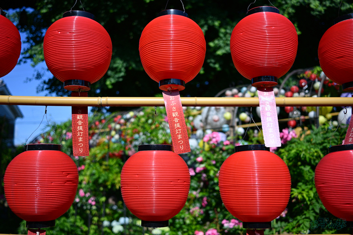 DSC_4850,24 mm,F2,1-4000 秒,iso100(JPEG).jpg
