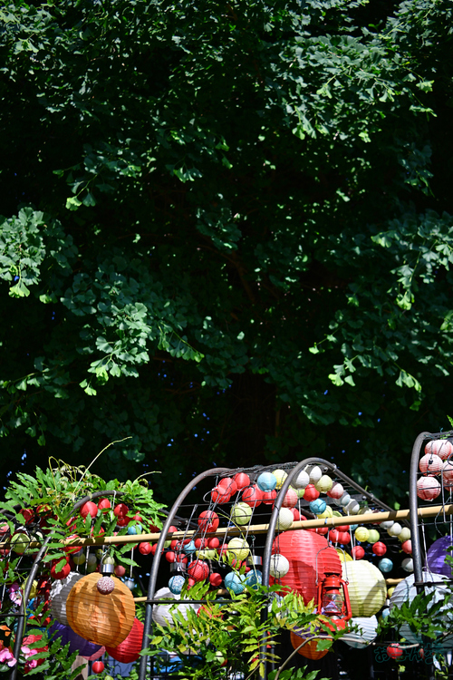 DSC_4855,24 mm,F2,1-2000 秒,iso100(JPEG).jpg