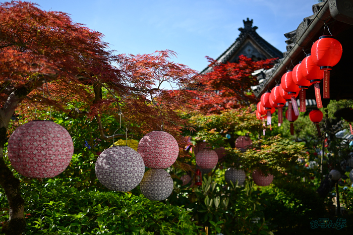 DSC_4922,24 mm,F1.7,1-3200 秒,iso100(JPEG).jpg