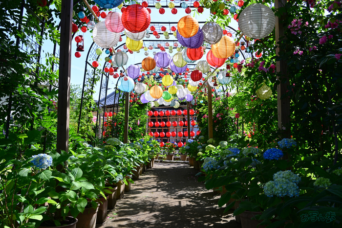 DSC_5013,22 mm,F11,1-60 秒,iso100(JPEG).jpg