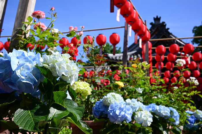 DSC_5114,24 mm,F6.3,1-400 秒,iso100(JPEG).jpg