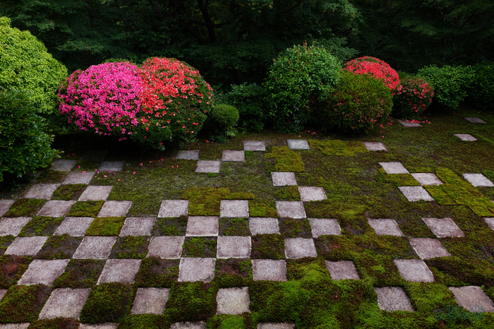 PS120055,24 mm,F10,1-60 秒,iso100(JPEG).jpg
