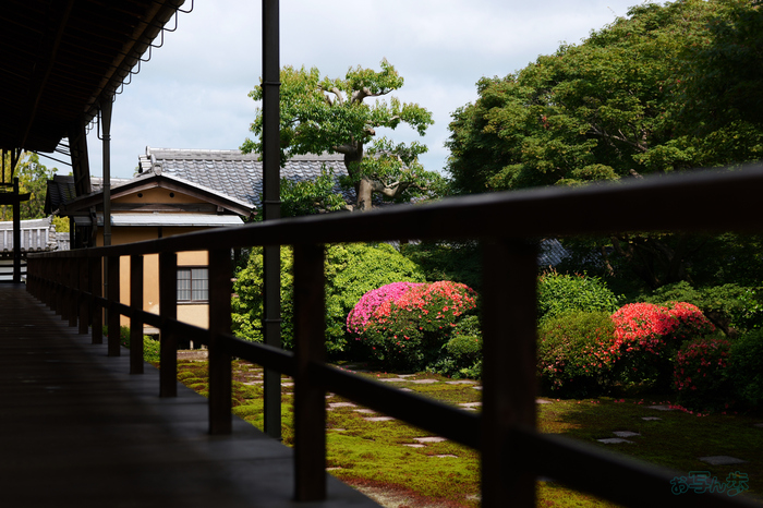 PS120108,55 mm,F2.8,1-1300 秒,iso100(JPEG).jpg