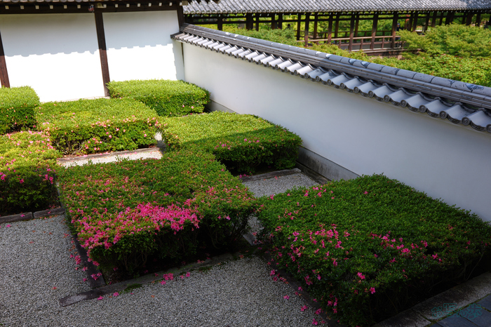 PS120144,32 mm,F2.8,1-1000 秒,iso100(JPEG).jpg