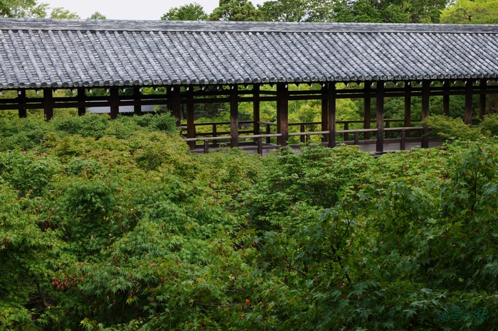PS120207,60 mm,F16,1-60 秒,iso500(JPEG).jpg