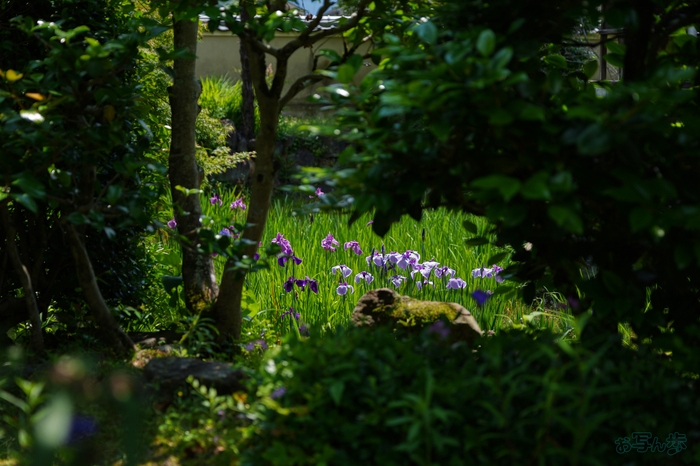 PS120386,60 mm,F2.8,1-1300 秒,iso100(JPEG).jpg