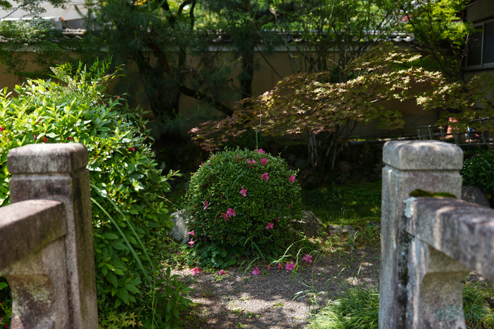 PS120422,36 mm,F2.8,1-400 秒,iso100(JPEG).jpg
