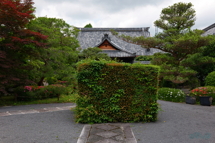PS120467,34 mm,F2.8,1-1000 秒,iso100(JPEG).jpg