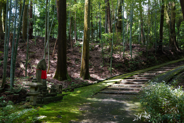 PS120486,30 mm,F2.8,1-80 秒,iso100(JPEG).jpg