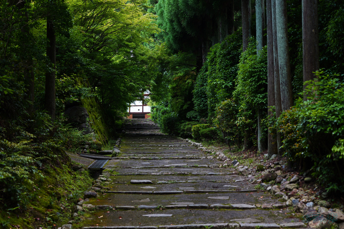 PS120495,60 mm,F2.8,1-250 秒,iso100(JPEG).jpg