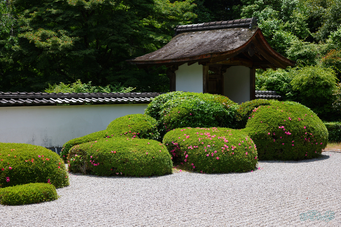 PS120629,60 mm,F2.8,1-1300 秒,iso100(JPEG).jpg