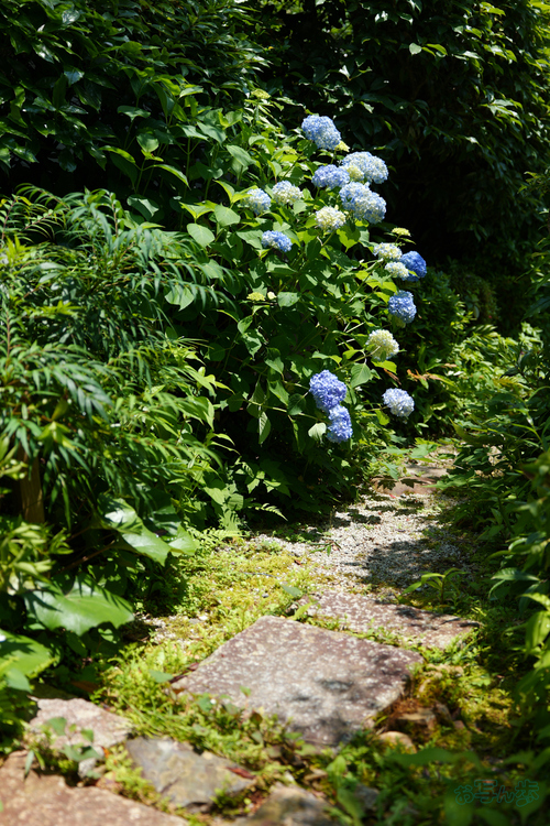PS120671,42 mm,F2.8,1-1000 秒,iso100(JPEG).jpg