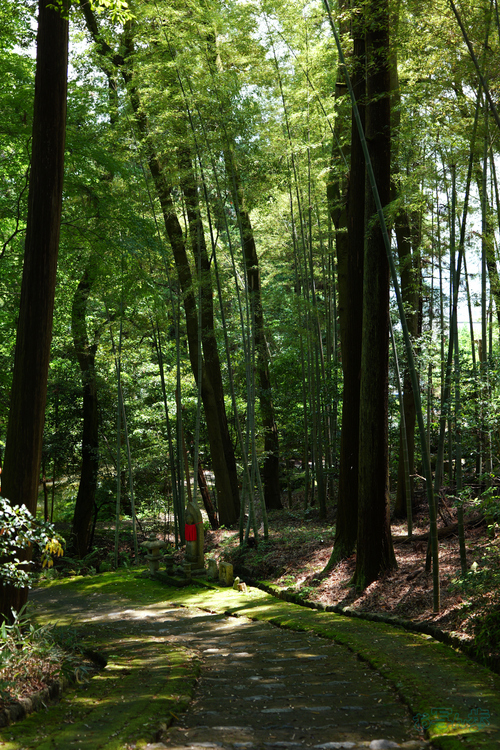 PS120677,54 mm,F2.8,1-100 秒,iso100(JPEG).jpg