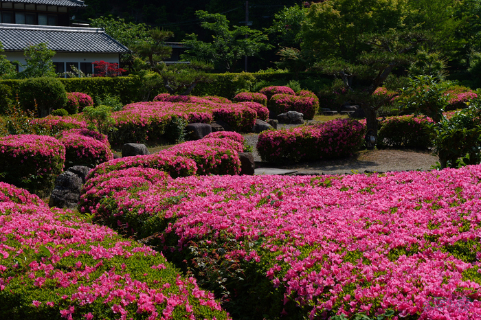 PS121904,40 mm,F6.3,1-500 秒,iso100(JPEG).jpg