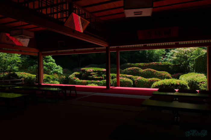 PS121981,17 mm,F8,1-125 秒,iso100(JPEG).jpg