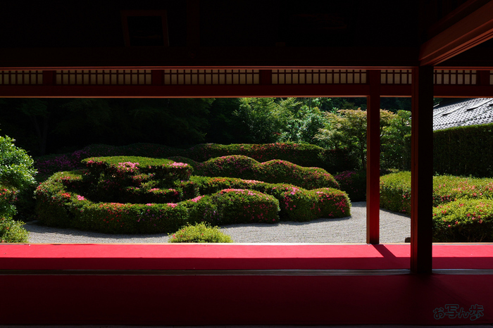 PS121995,17 mm,F8,1-160 秒,iso100(JPEG).jpg