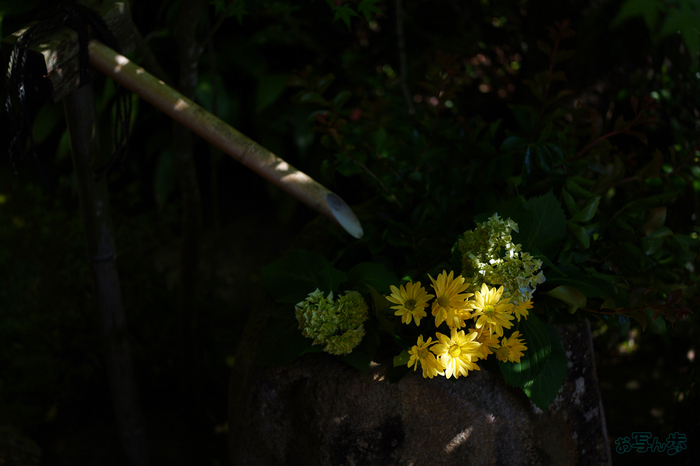 PS122052,37 mm,F1.8,1-1300 秒,iso100(JPEG).jpg