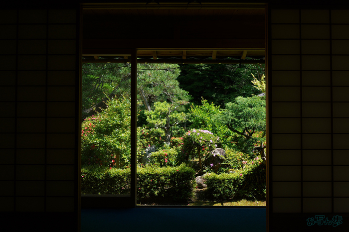PS122101,17 mm,F6.3,1-125 秒,iso100(JPEG).jpg