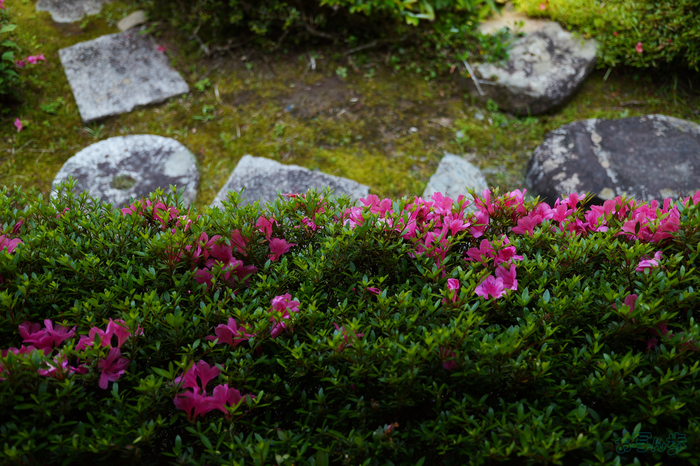 PS122109,24 mm,F1.8,1-250 秒,iso100(JPEG).jpg
