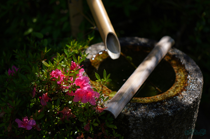 PS122113,40 mm,F1.8,1-4000 秒,iso100(JPEG).jpg