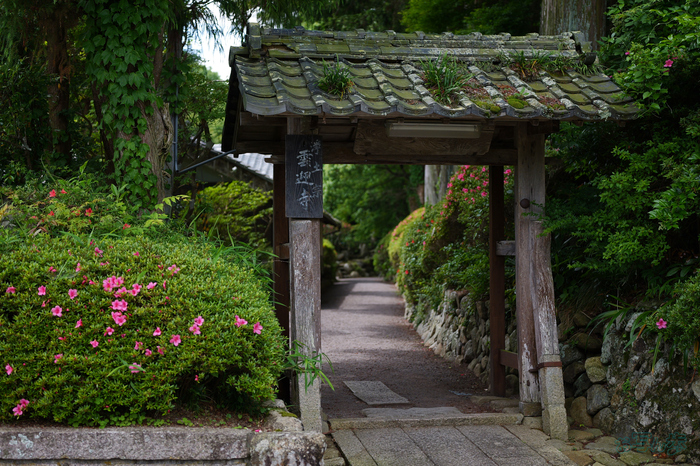 PS122149,37 mm,F1.8,1-1000 秒,iso100(JPEG).jpg
