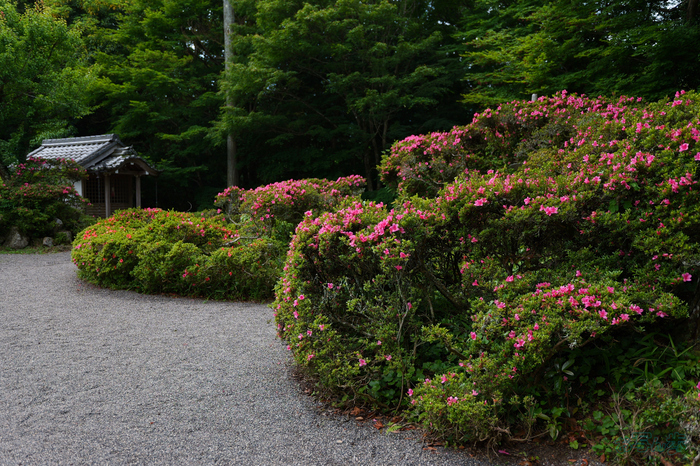 PS122167,20 mm,F1.8,1-1600 秒,iso100(JPEG).jpg