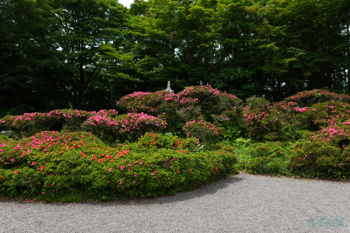 PS122182,17 mm,F9,1-125 秒,iso100(JPEG).jpg