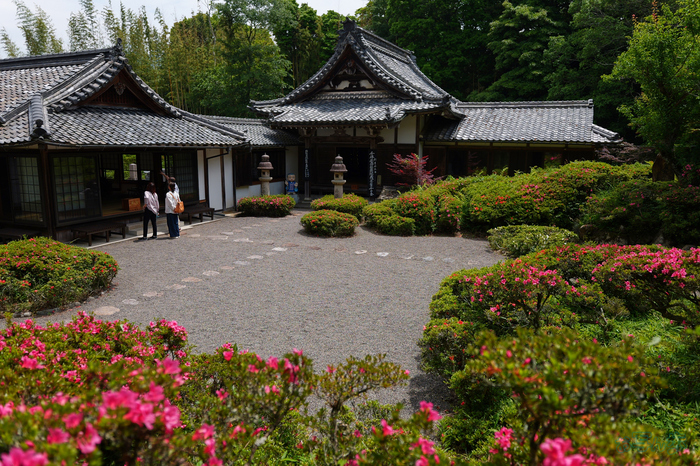 PS122262,17 mm,F1.8,1-4000 秒,iso100(JPEG).jpg